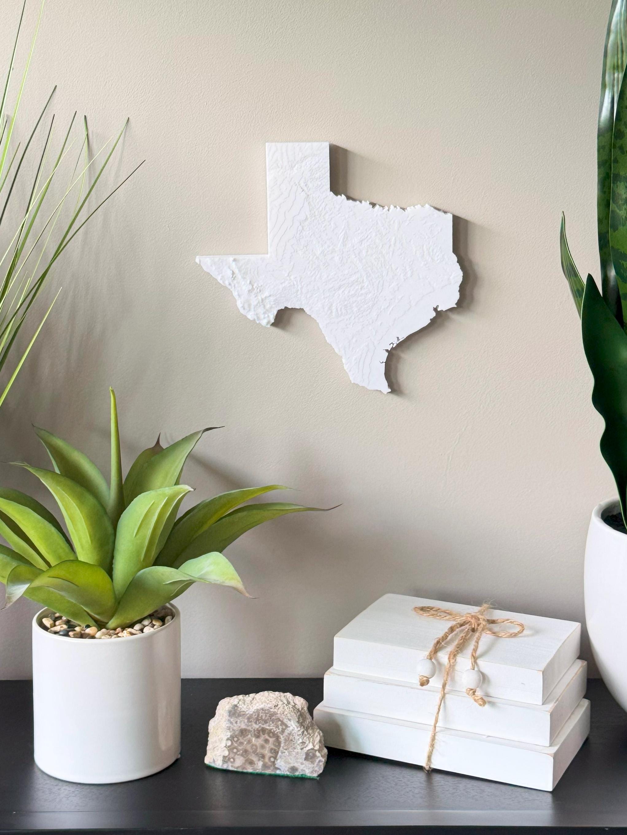 Texas Topographical Map
