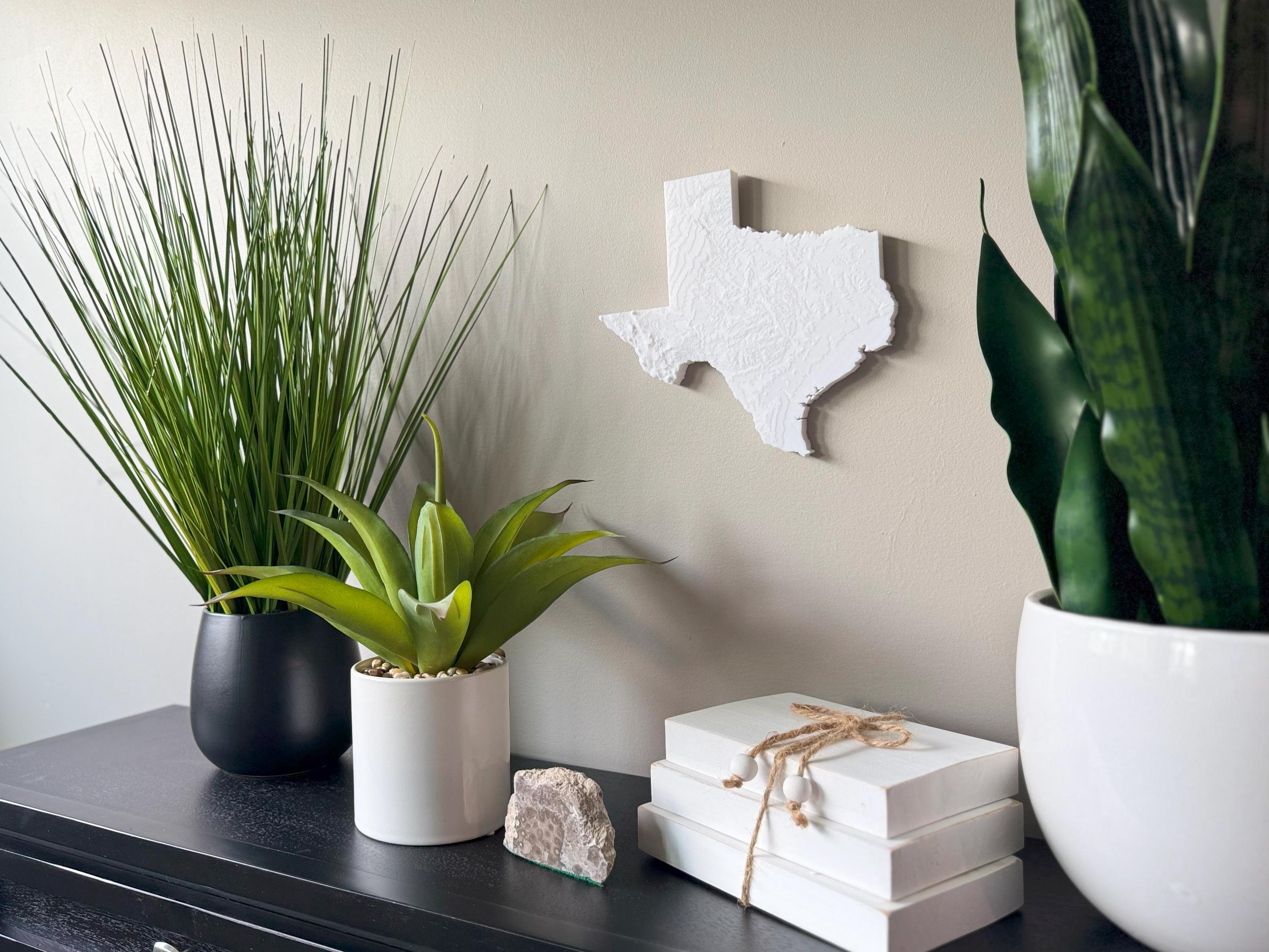 Texas Topographical Map