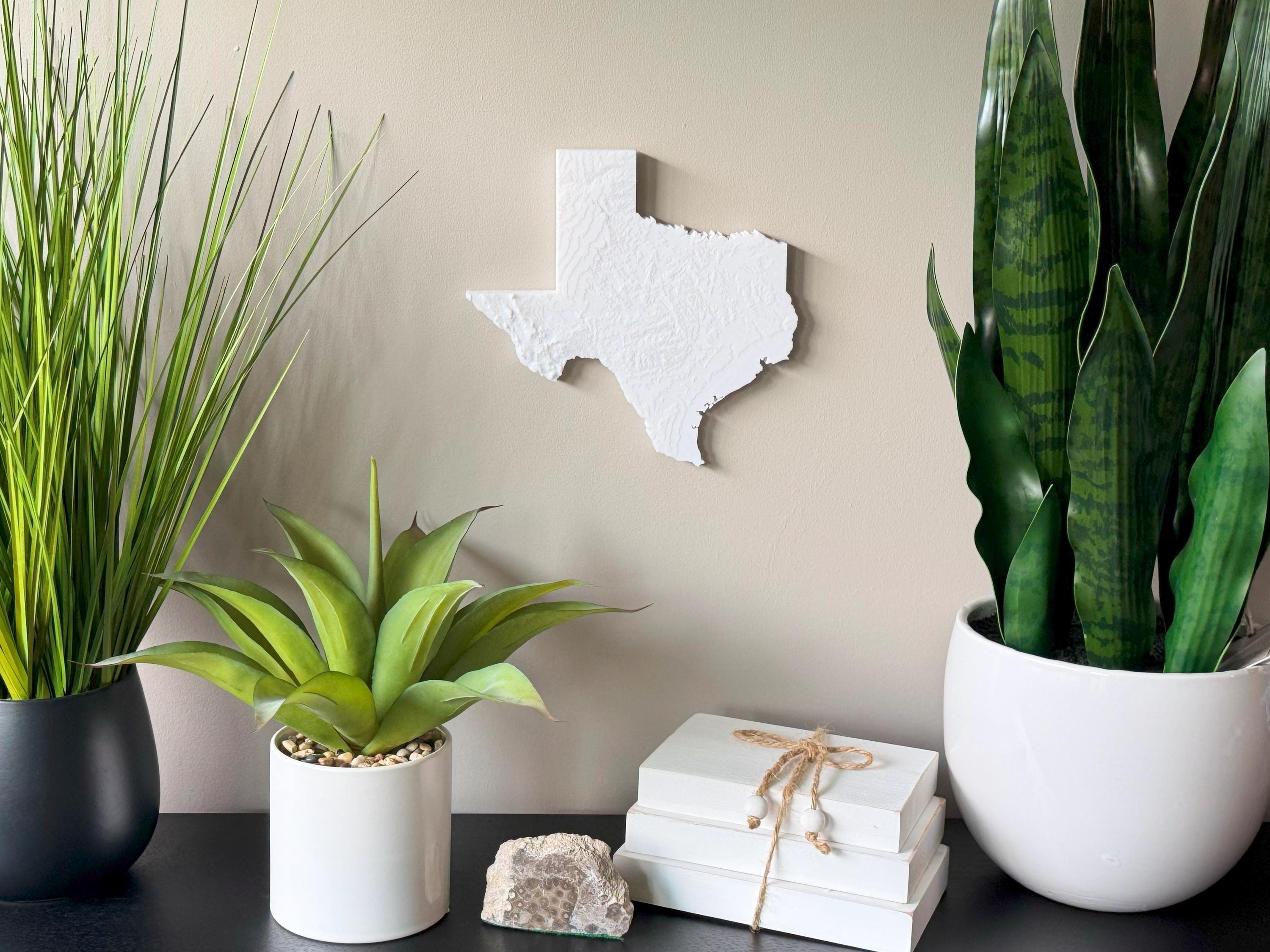 Texas Topographical Map