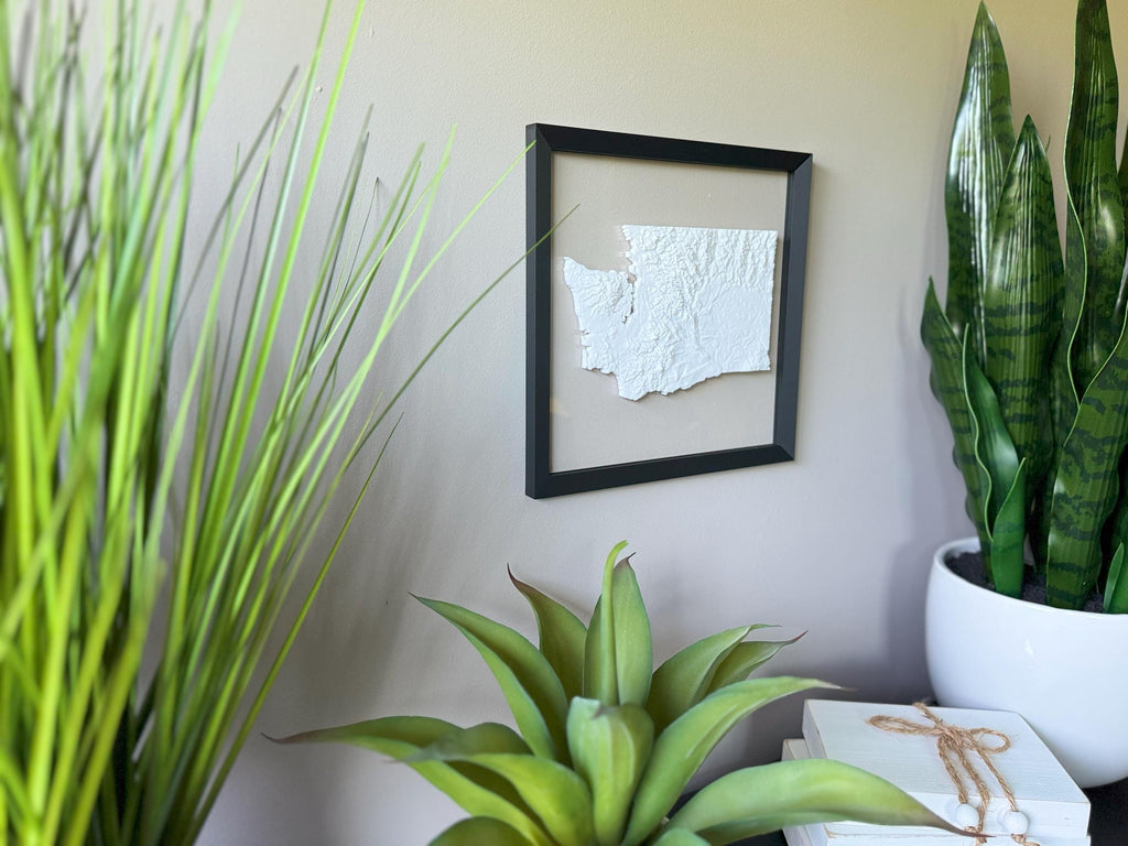 Washington State Topographic Map