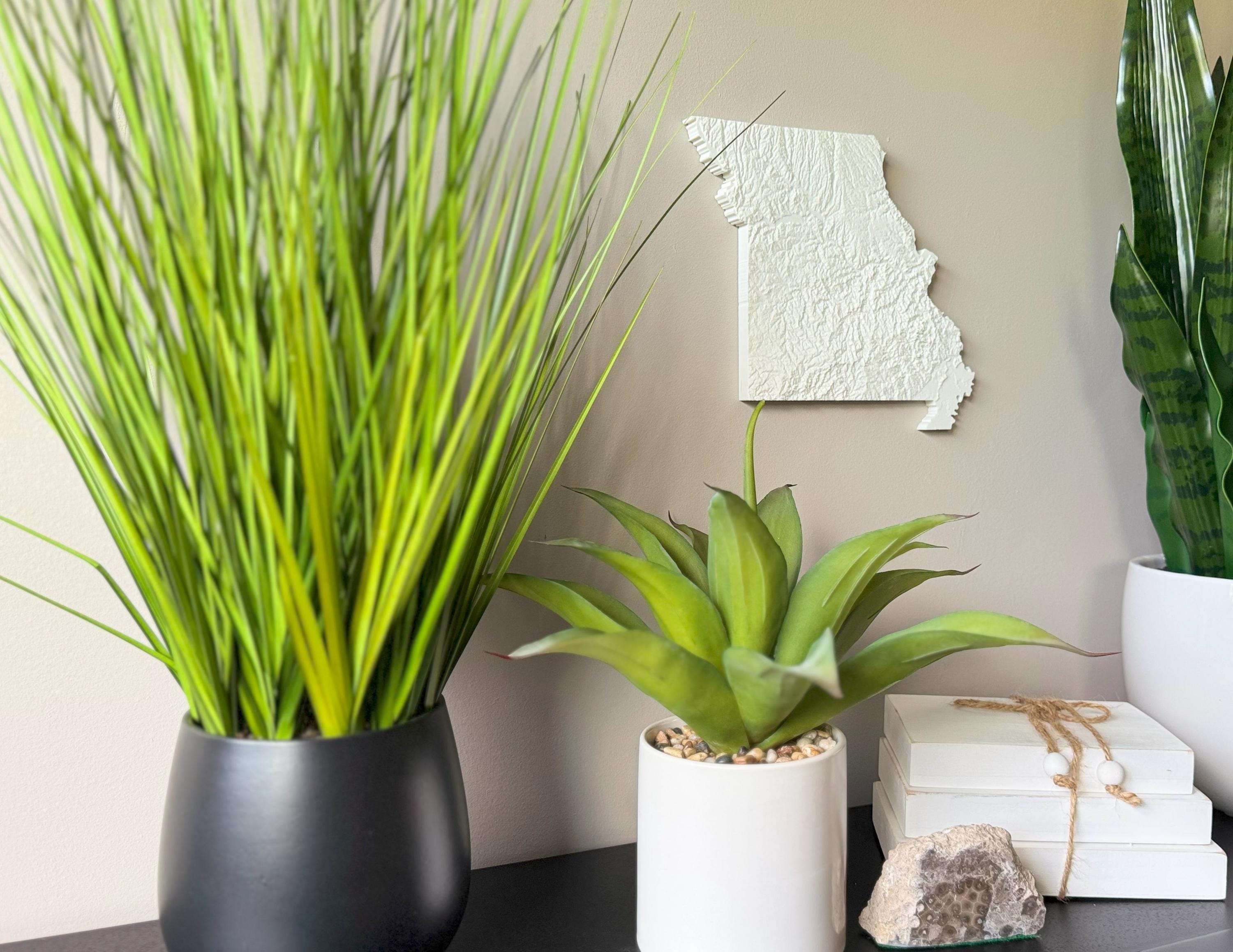 Missouri Topographic Map