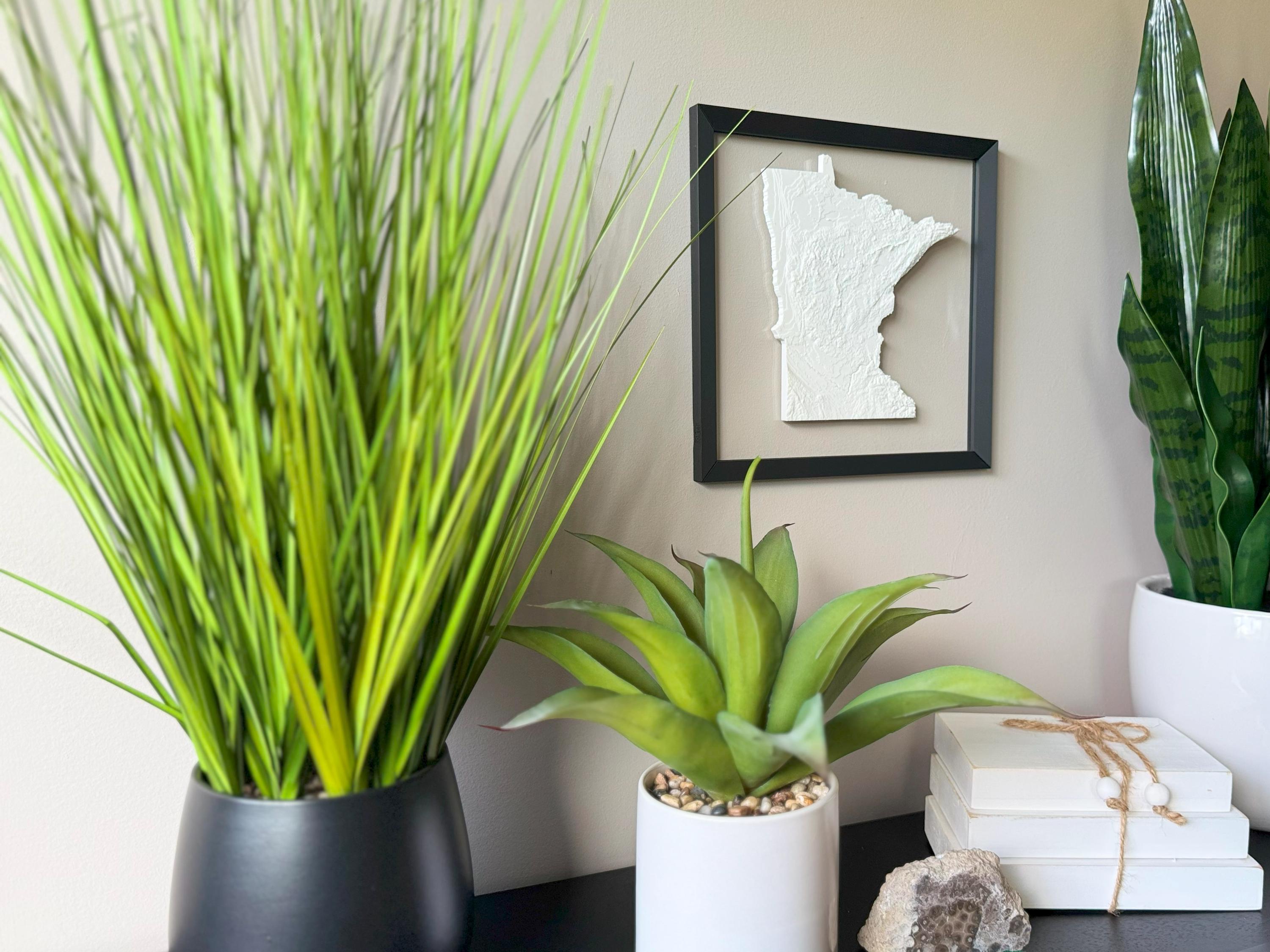 Minnesota Topographic Map