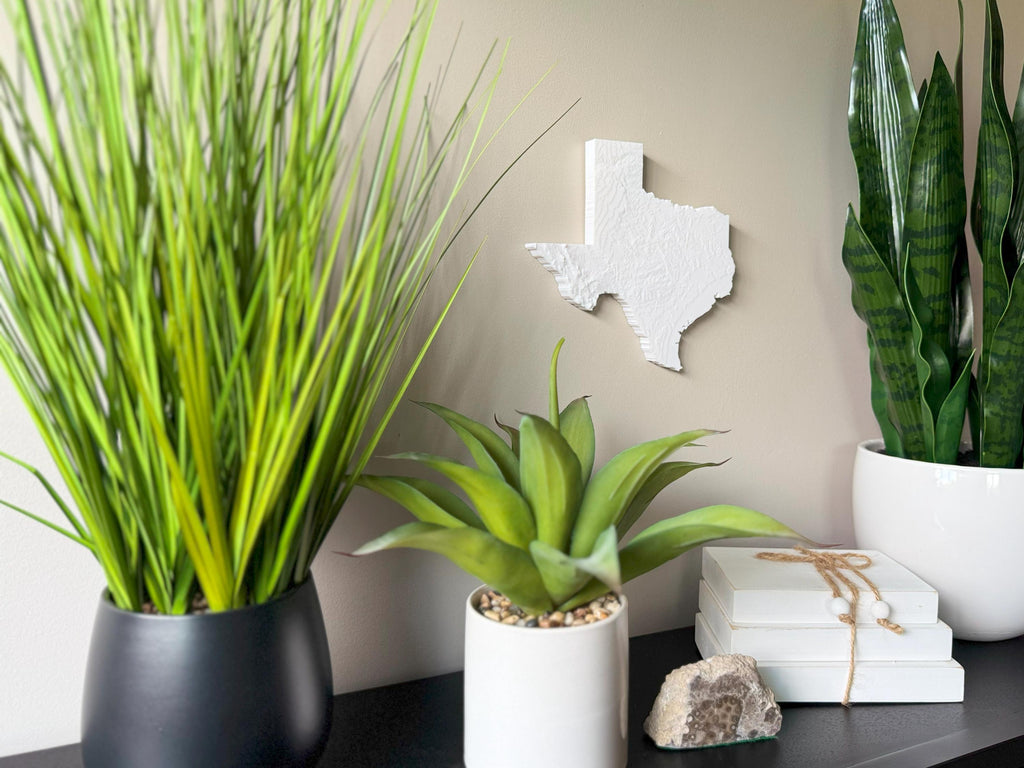 Texas Topographical Map
