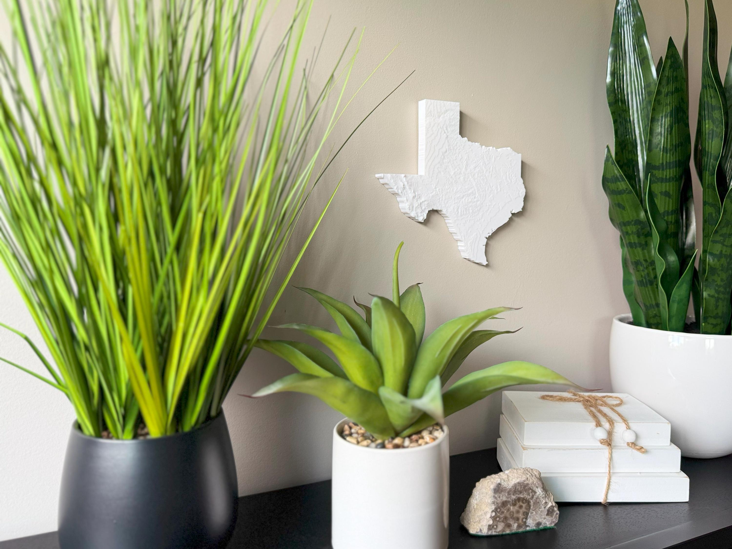 Texas Topographical Map