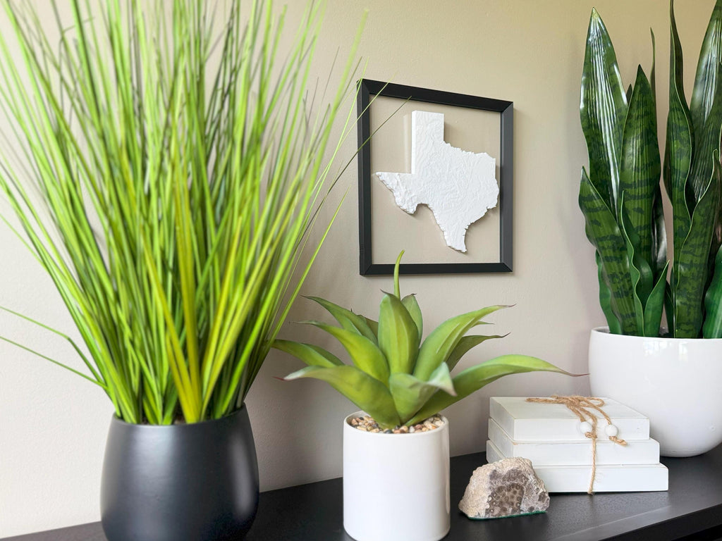 Texas Topographical Map