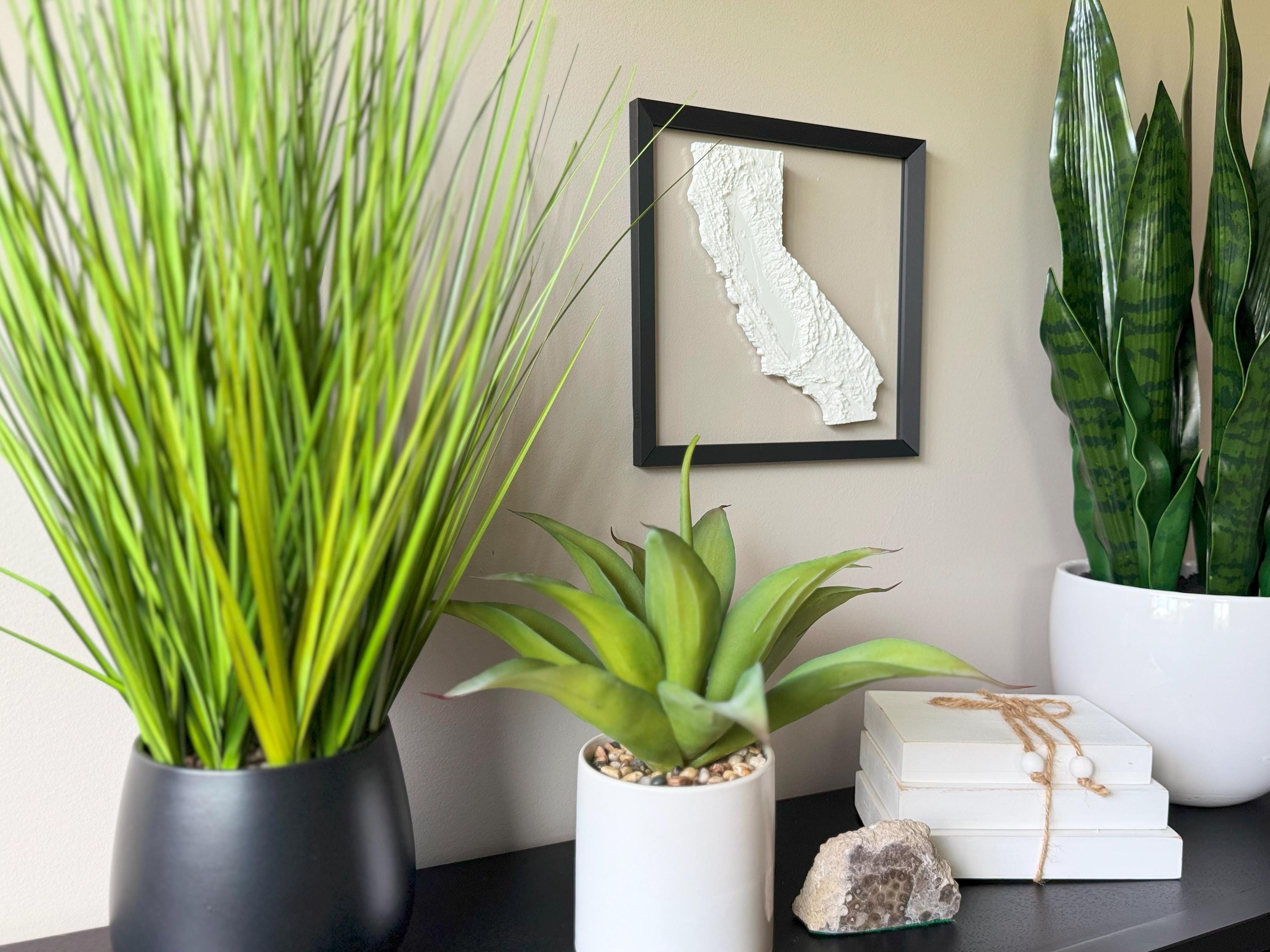 California Topographical Map