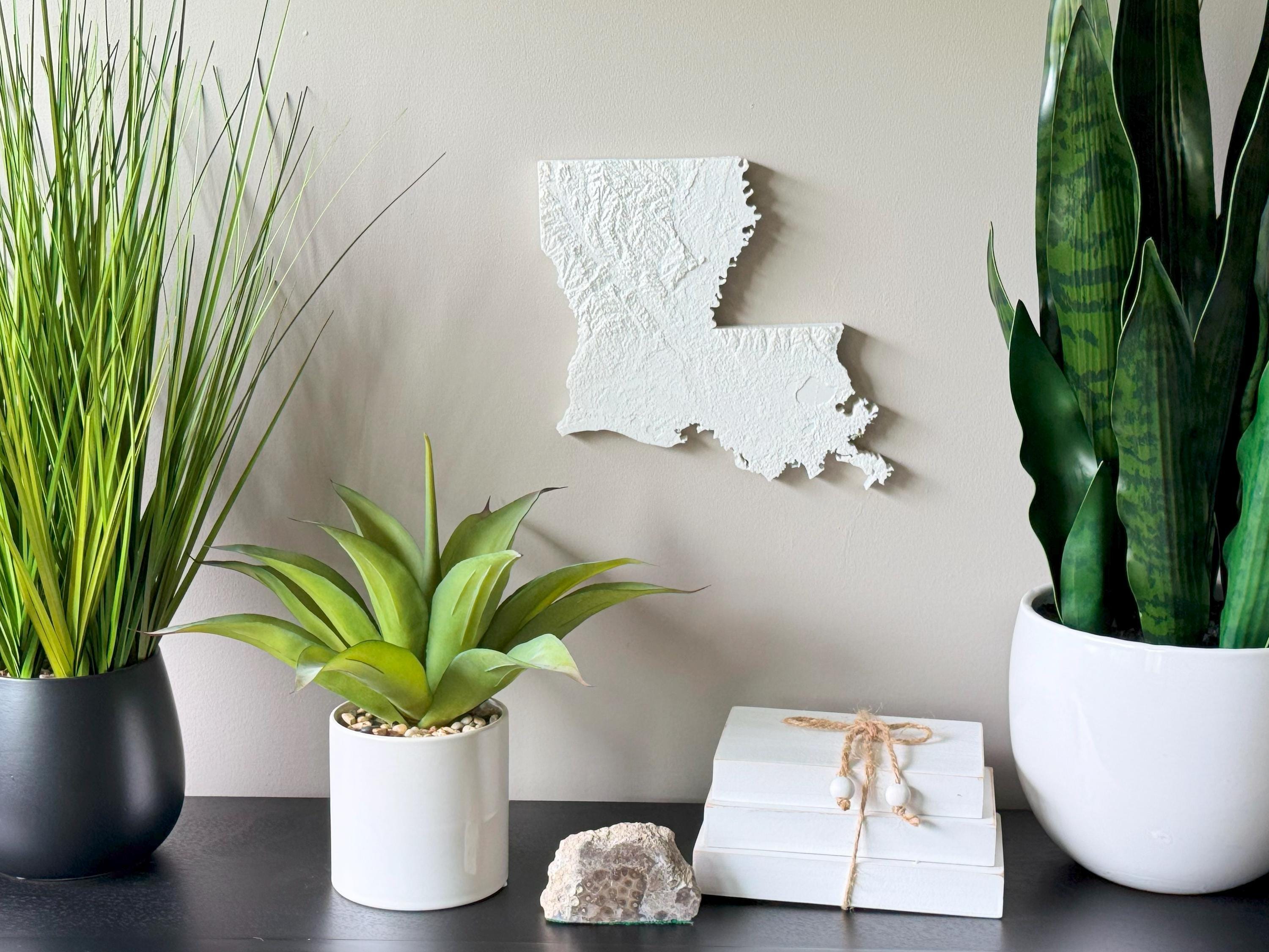 Louisiana Topographic Map