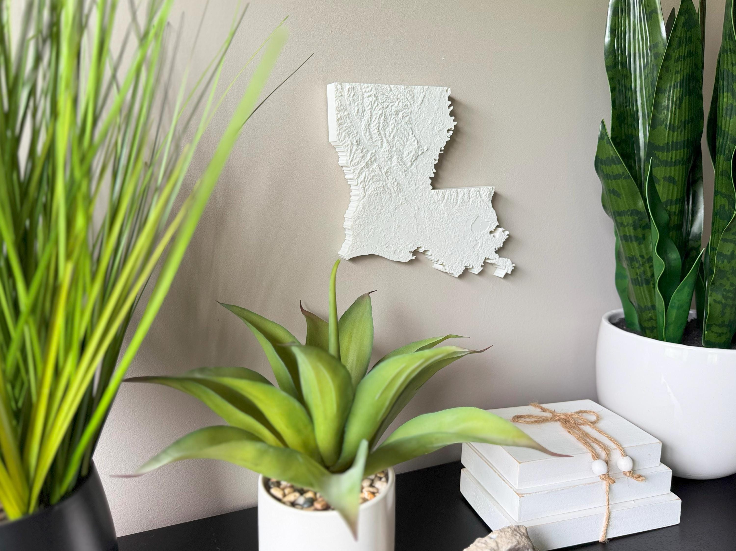 Louisiana Topographic Map
