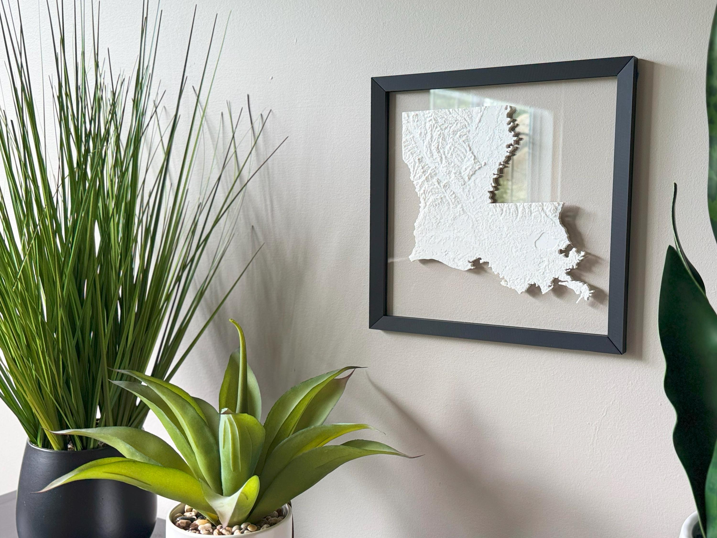 Louisiana Topographic Map