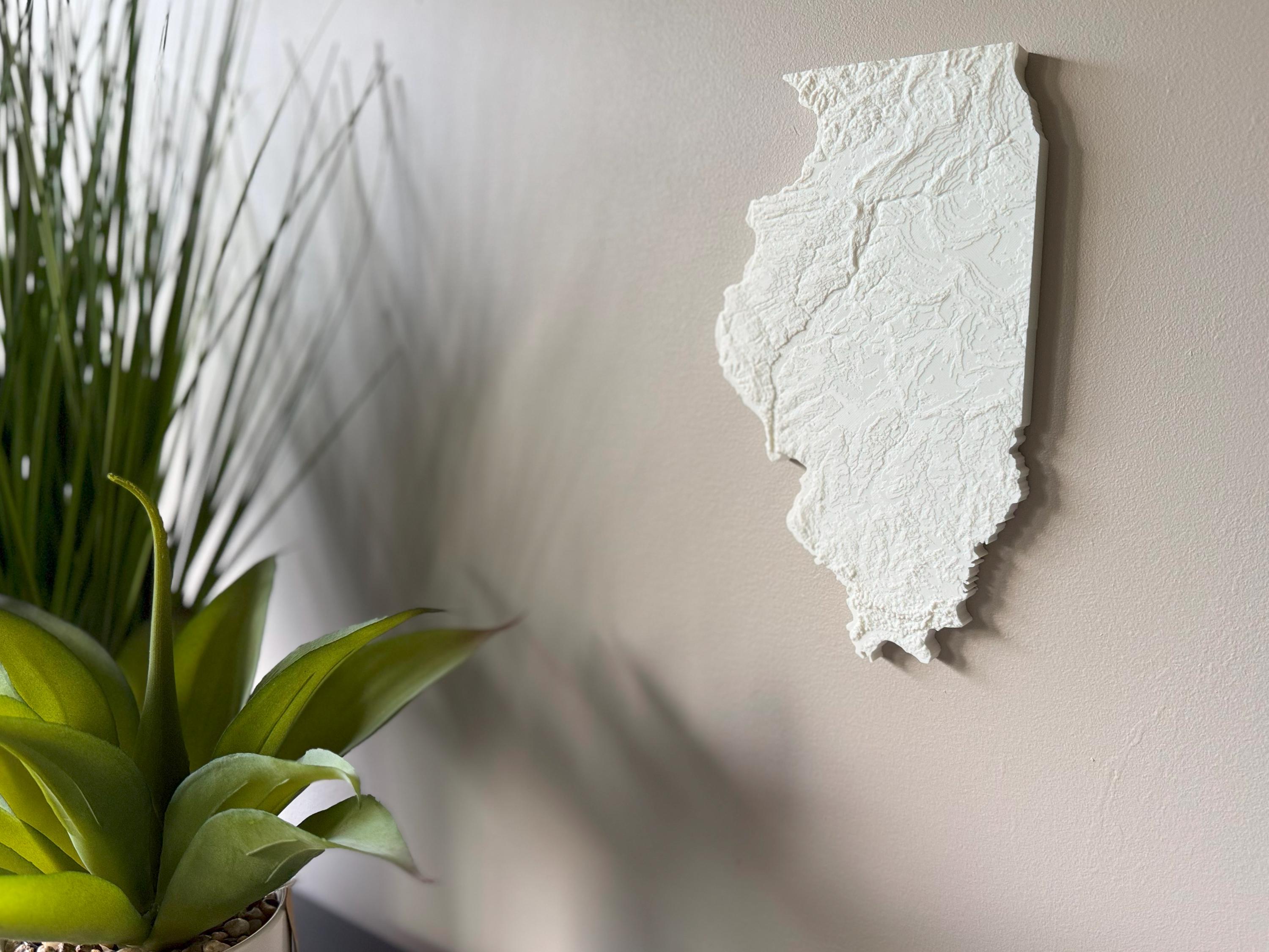 Illinois Topographic Map