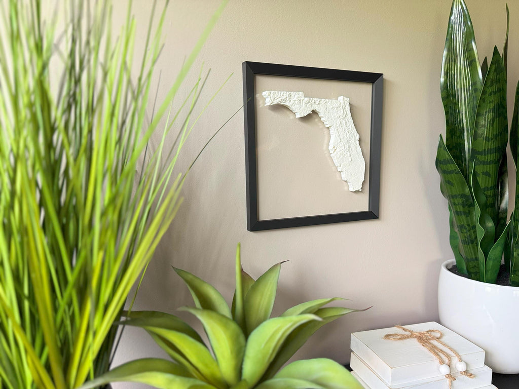 Florida Topographic Map