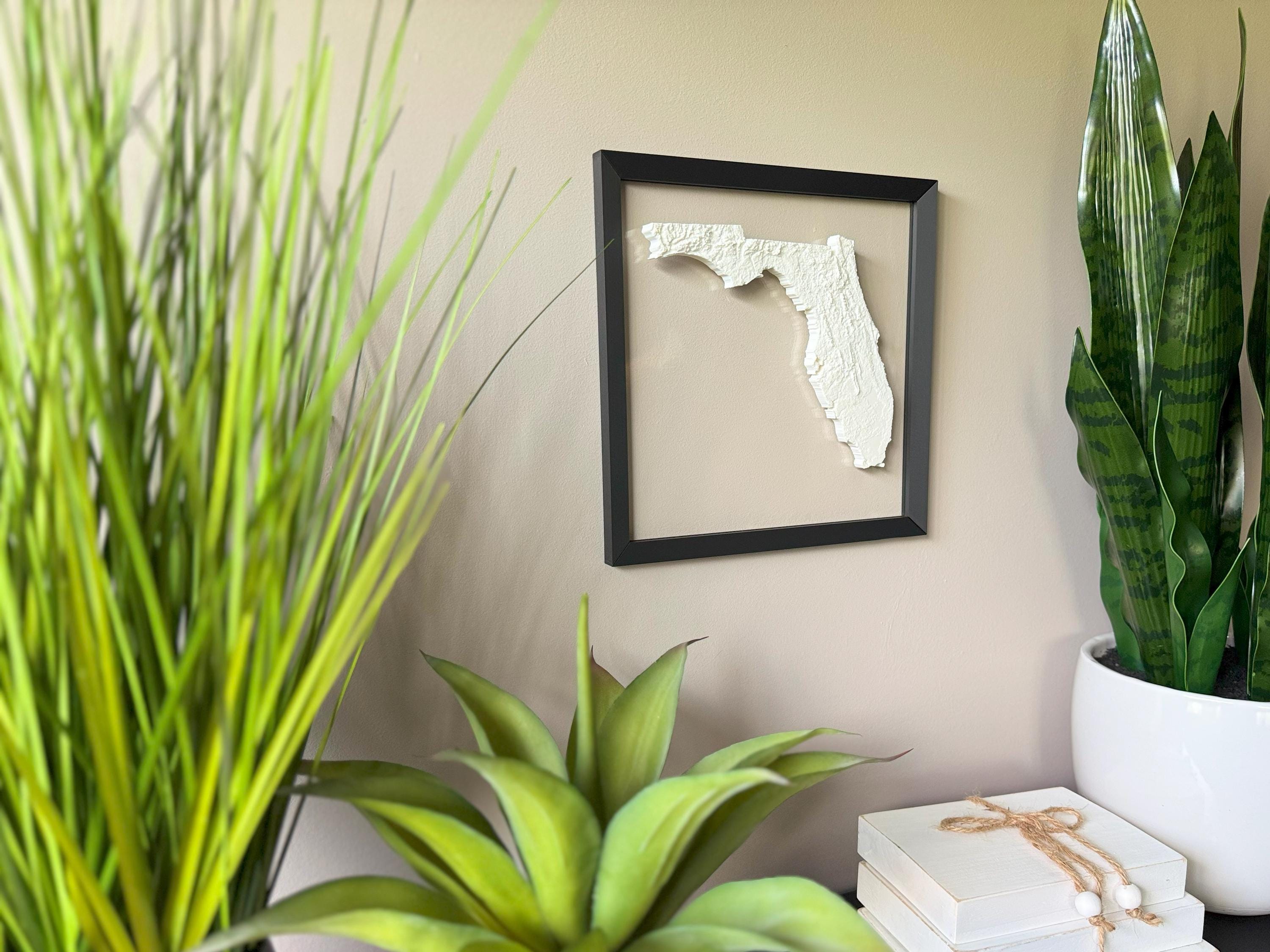 Florida Topographic Map