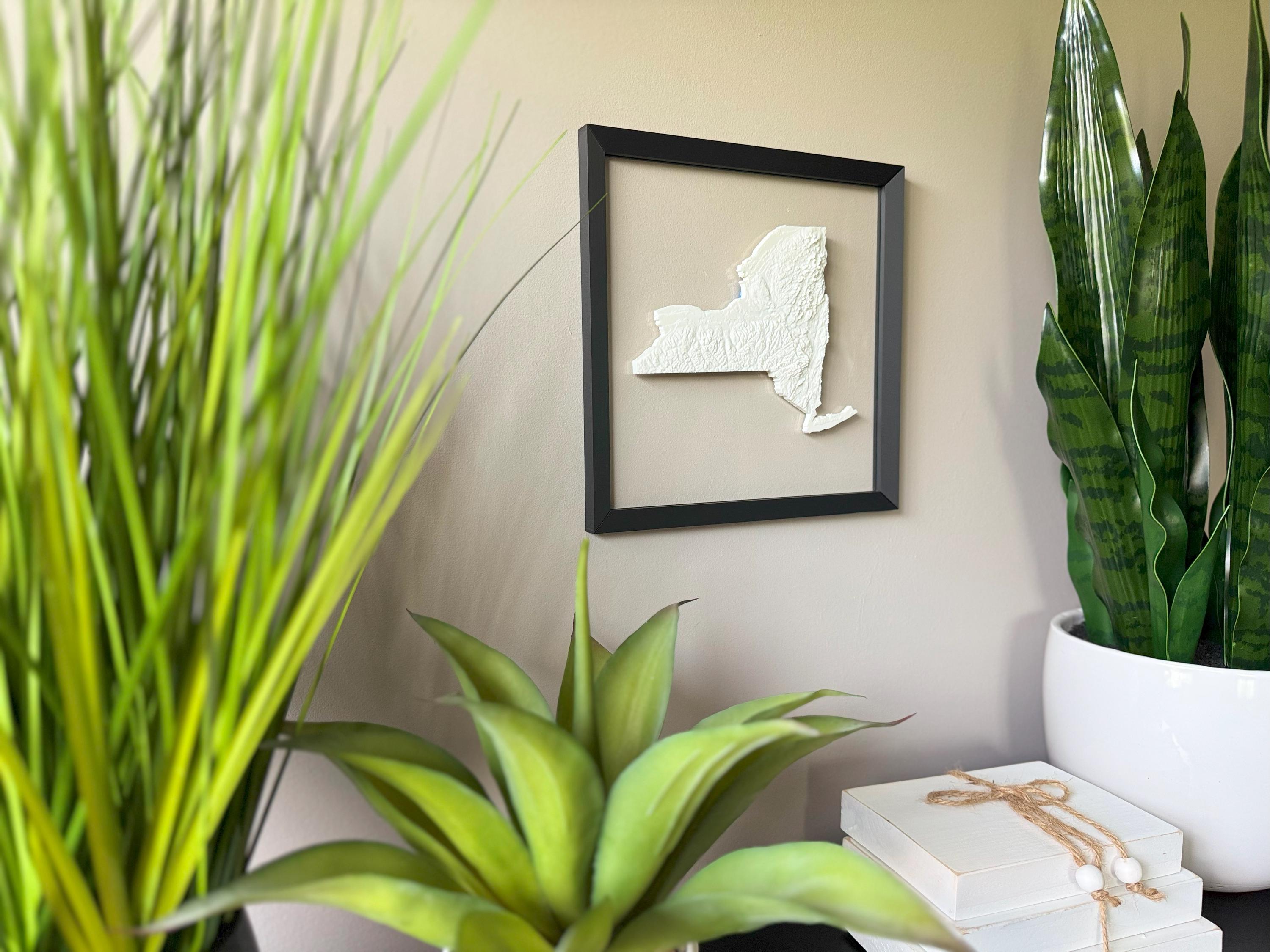 New York Topographic Map