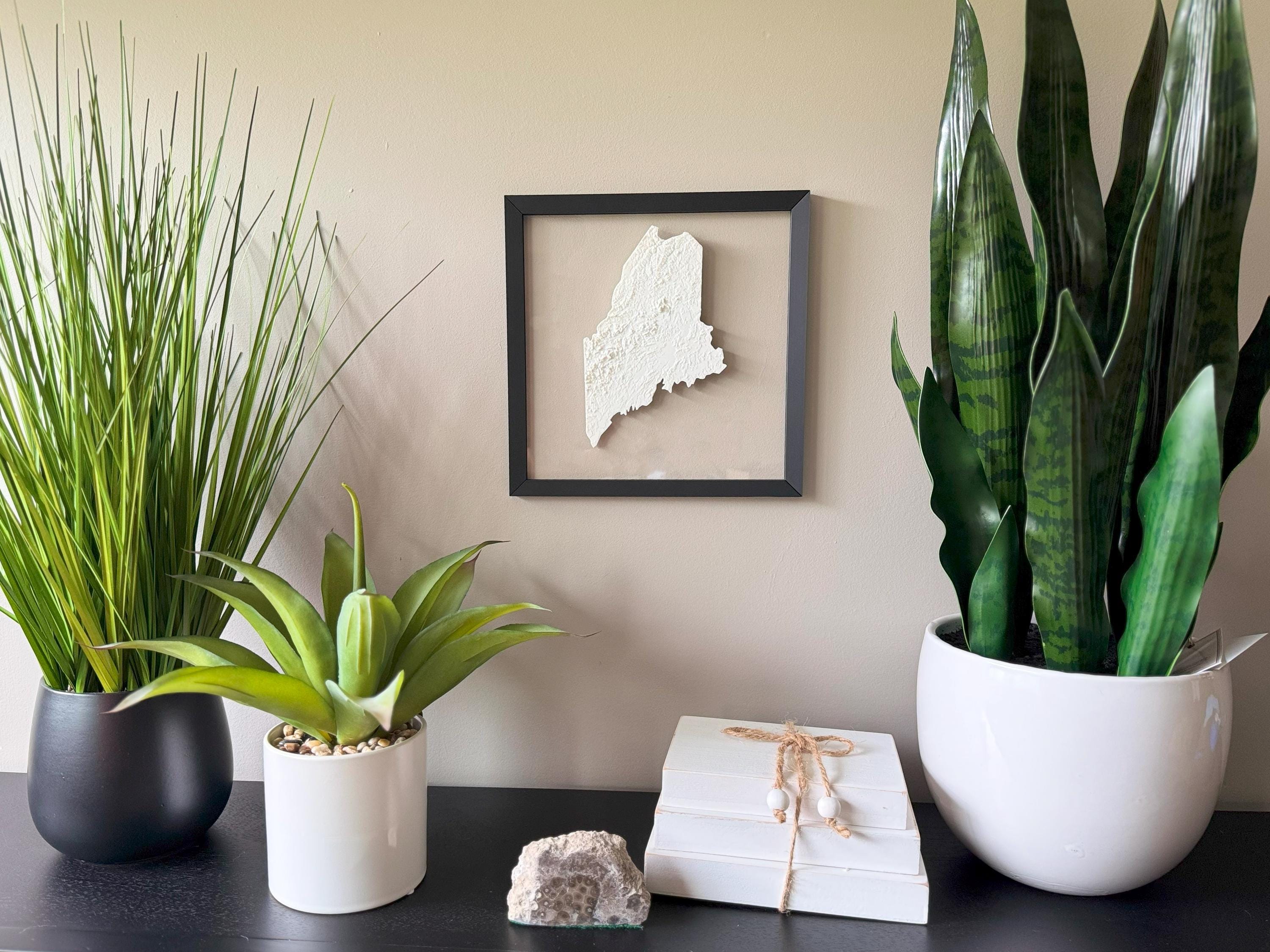 Maine Topographic Map