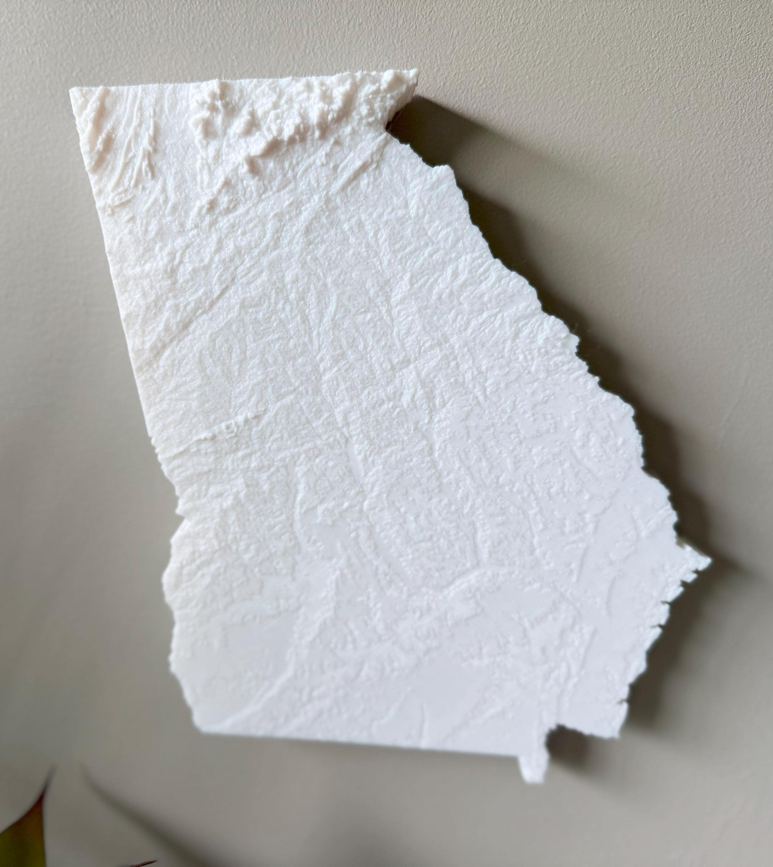 Georgia Topographic Map