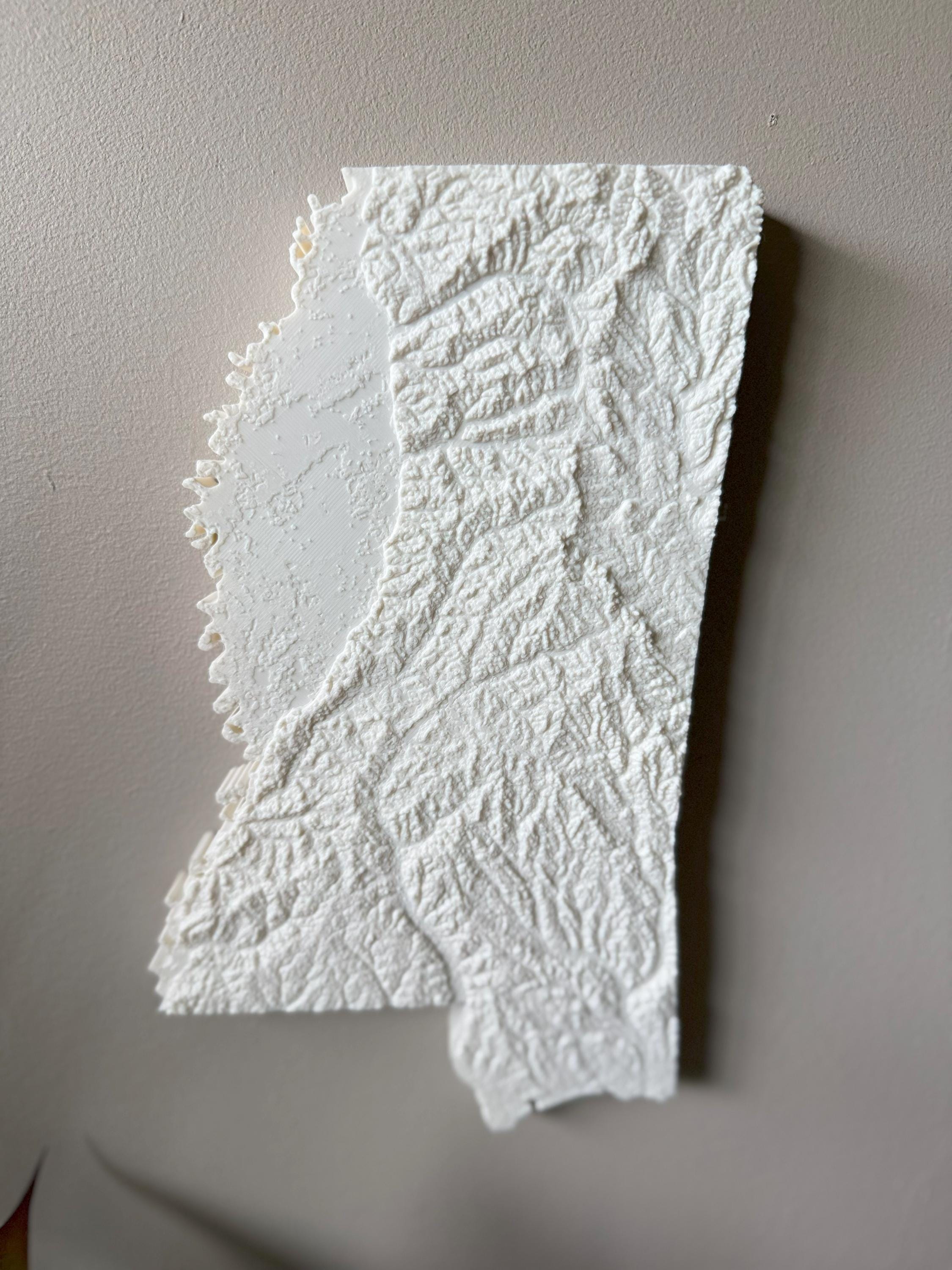 Mississippi Topographic Map