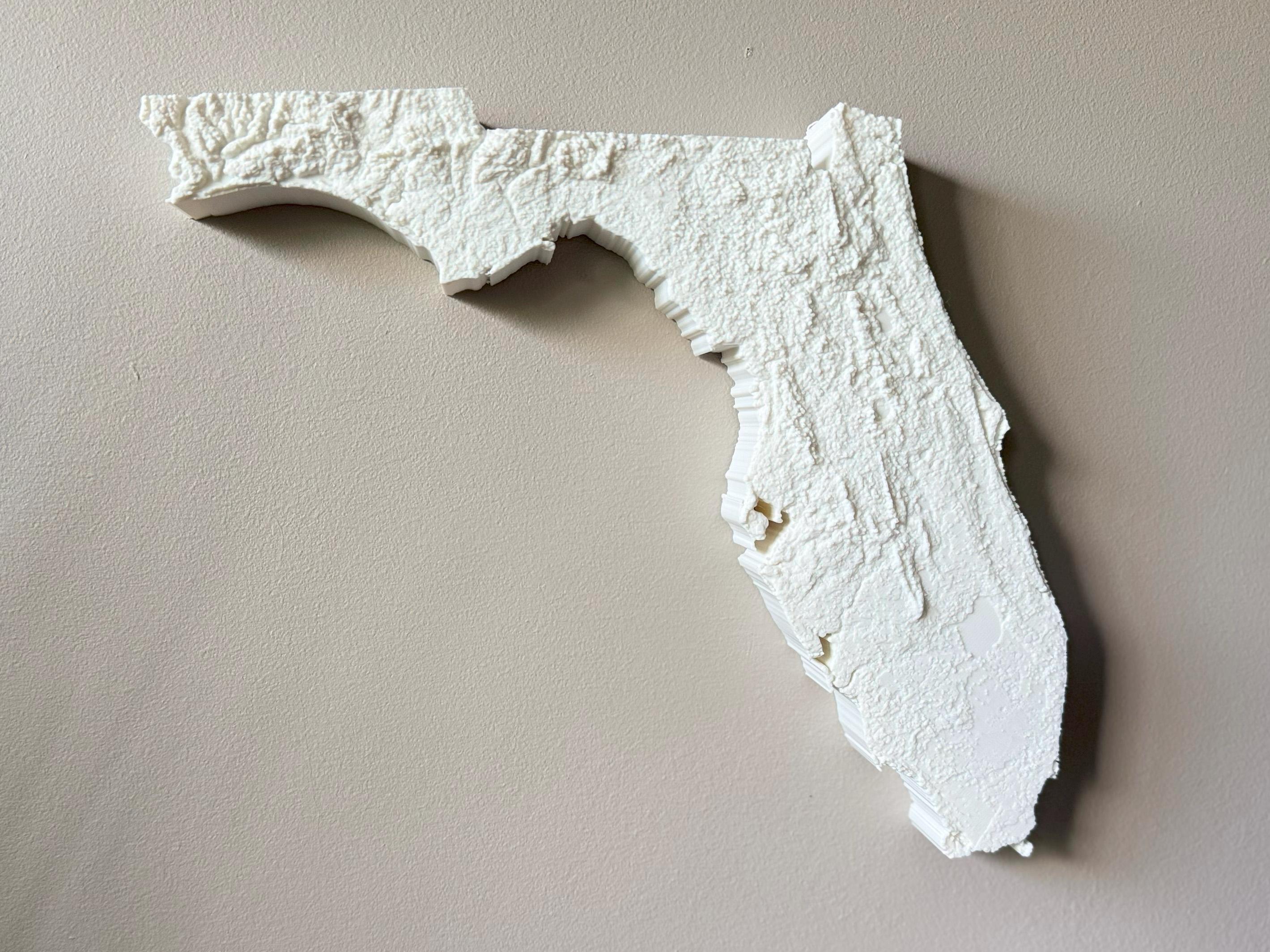 Florida Topographic Map