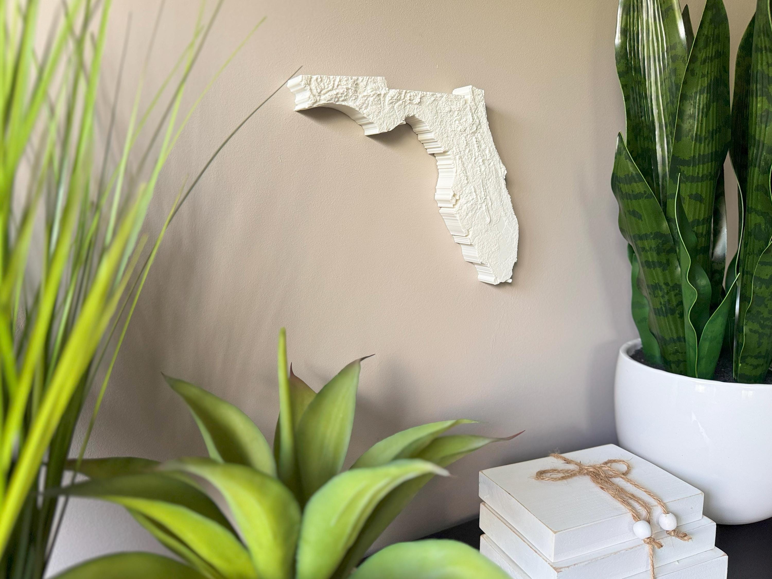 Florida Topographic Map