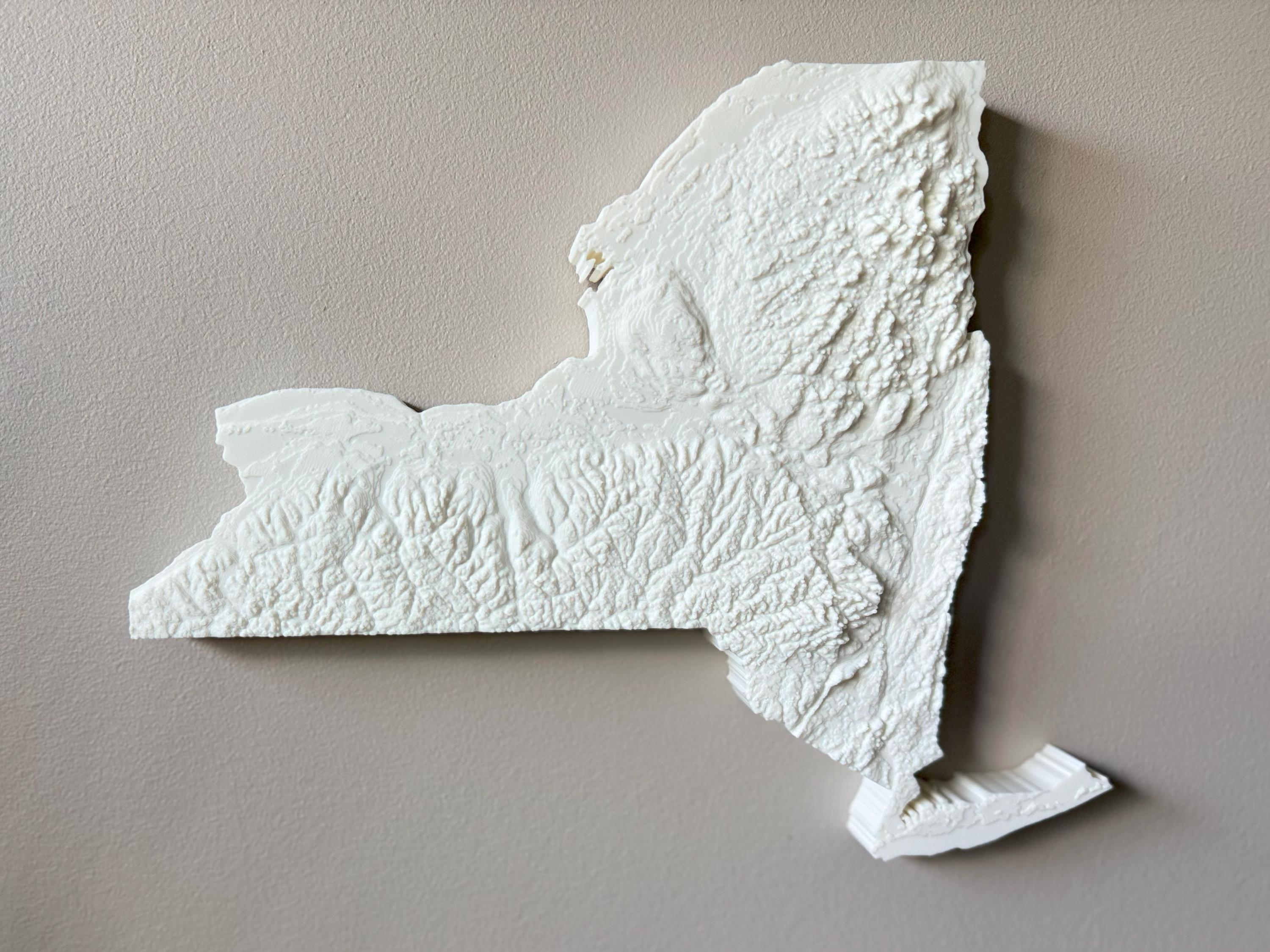 New York Topographic Map